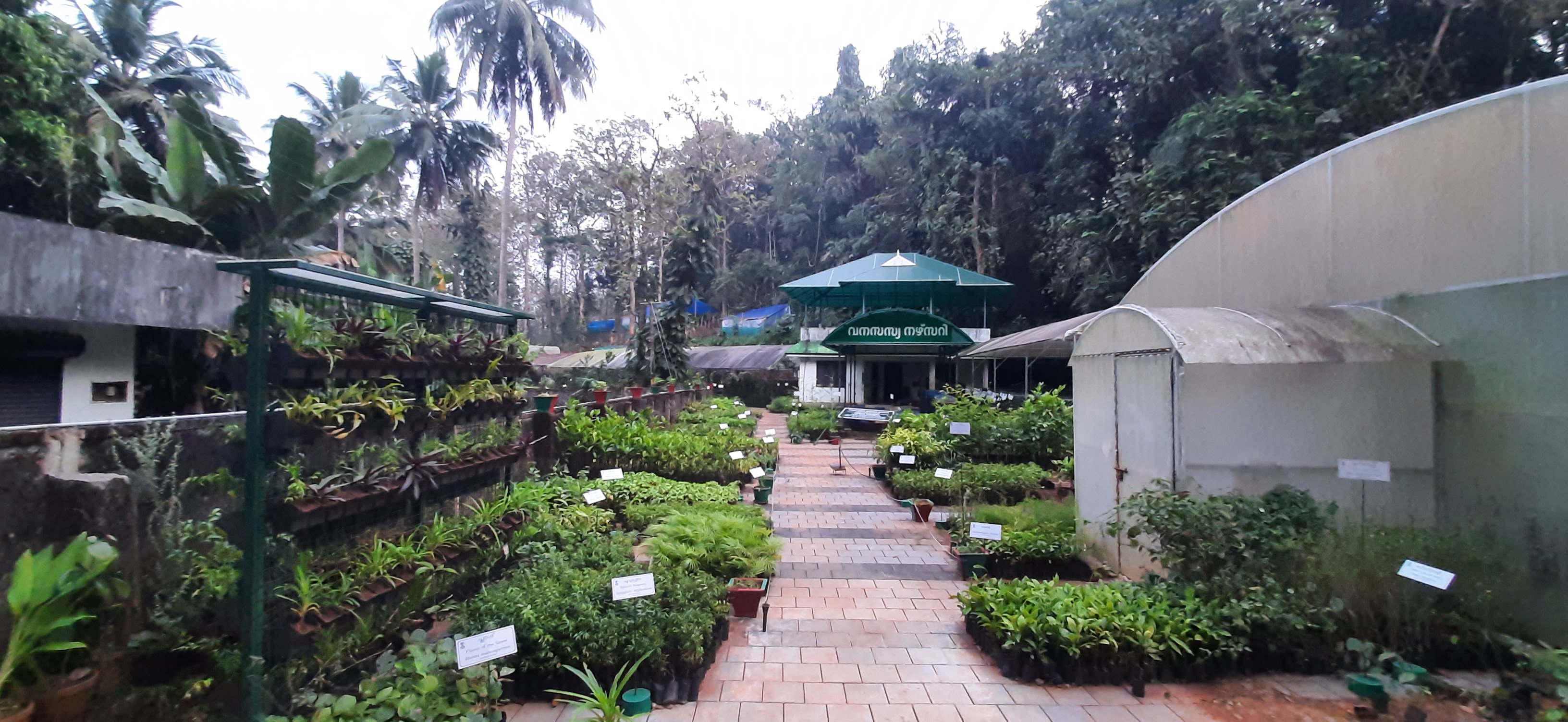 Central Nursery - KFRI